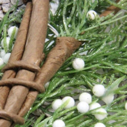 24" White Berries And Pinecones Artificial Christmas Wreath - Unlit -Ornaments Store zlq0wcrz3vmknojakcgau2kq4uly8syr 72308.1588371212